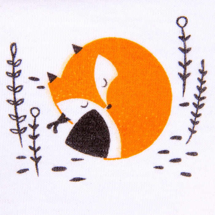 Набор трусов детских KAFTAN "Лисенок" 2 шт. рост 98-104 (30), 3-4 года 100% хлопок