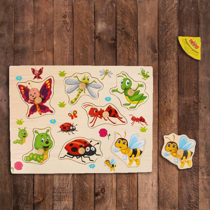 Рамка-вкладыш "Подбери картинку. Насекомые"