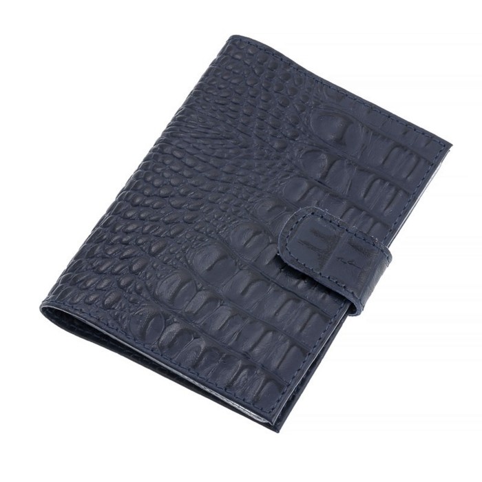 Обложка для автодокументов, отдел для паспорта, отдел для купюр, цвет синий