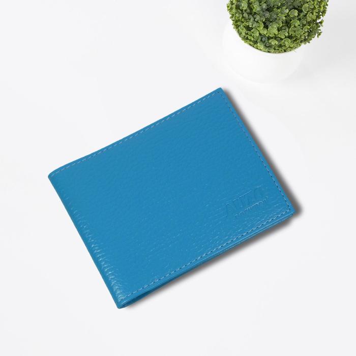 Обложка для автодокументов, цвет голубой