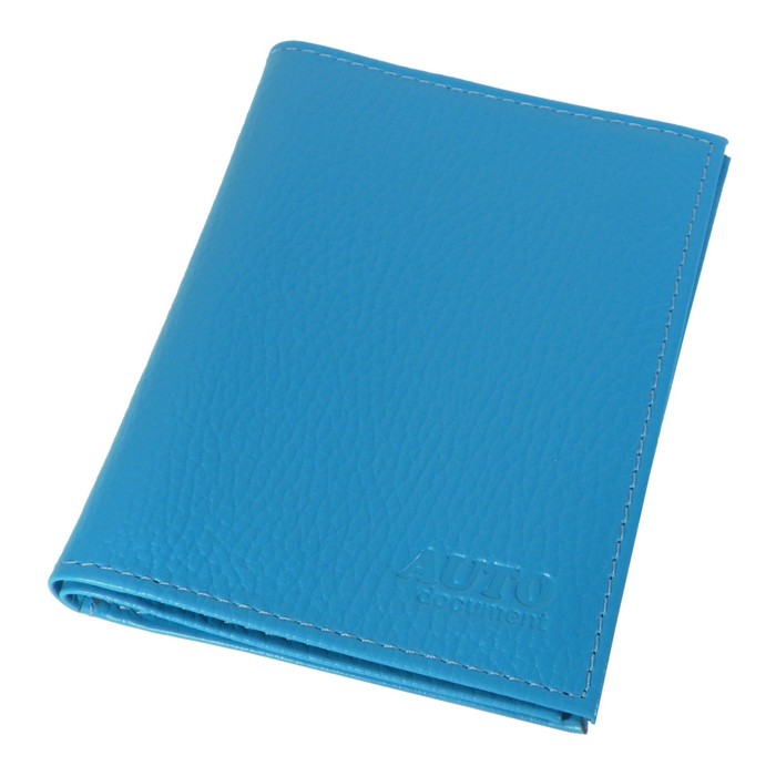 Обложка для автодокументов, отдел для паспорта, цвет голубой
