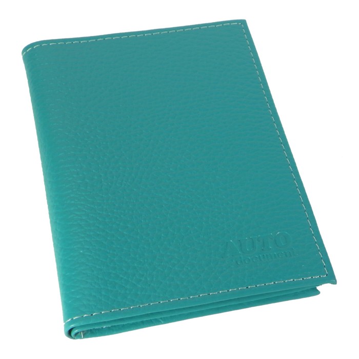 Обложка для автодокументов, отдел для паспорта, цвет бирюзовый