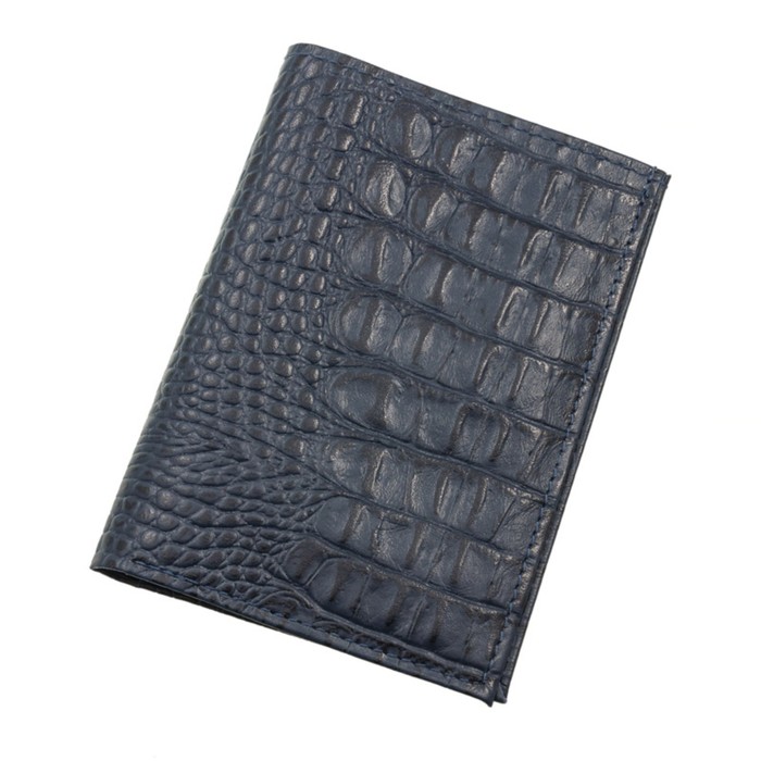 Обложка для паспорта, отдел для купюр, цвет синий