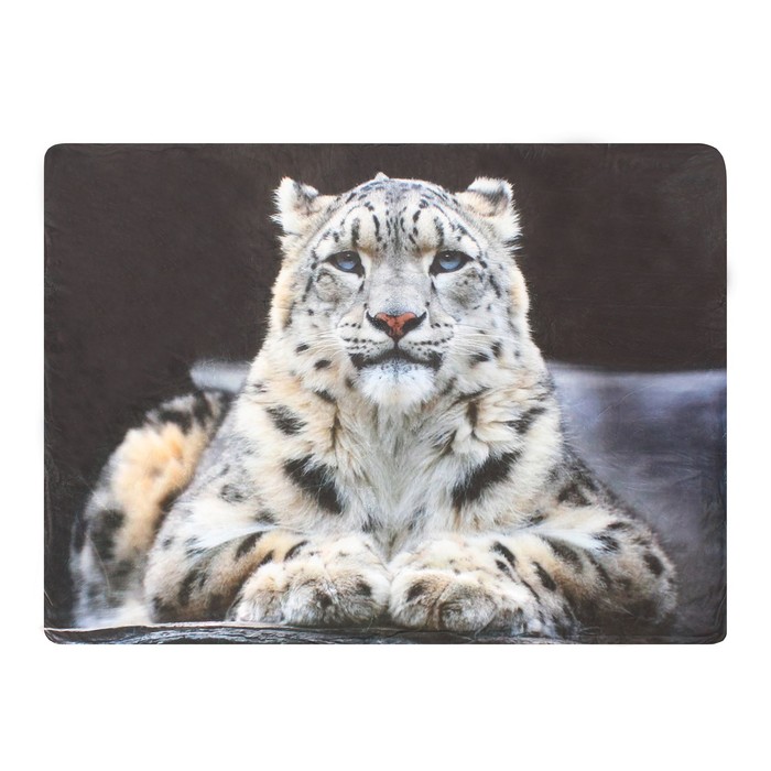 Плед ворсистый двусторонний 127х152 см Леопард наблюдает, микрофибра 270 гр/м