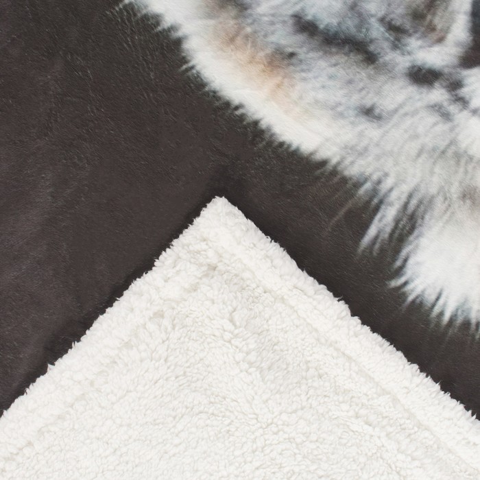 Плед ворсистый двусторонний 127х152 см Леопард наблюдает, микрофибра 270 гр/м