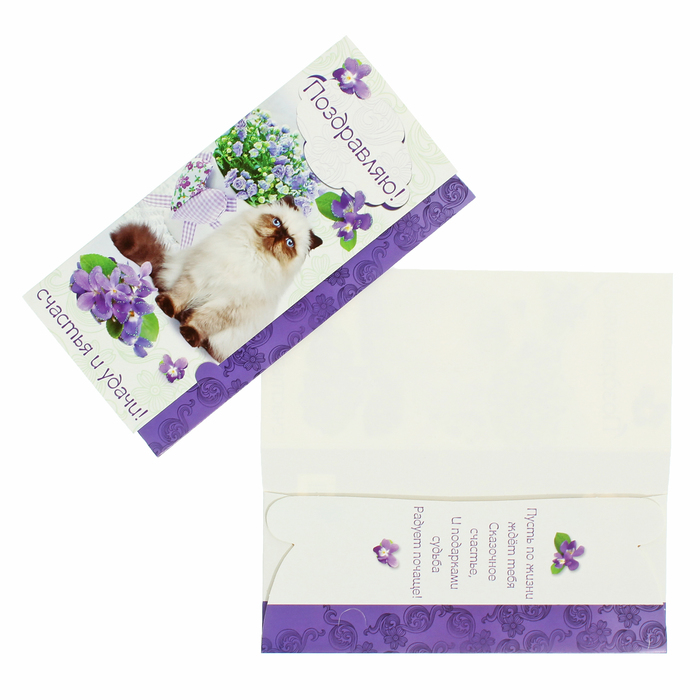 Конверт для денег "Поздравляю!" кот с букетом