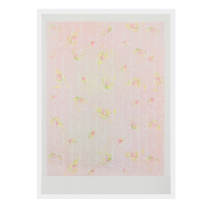 Канва для вышивания с рисунком, дизайнерская