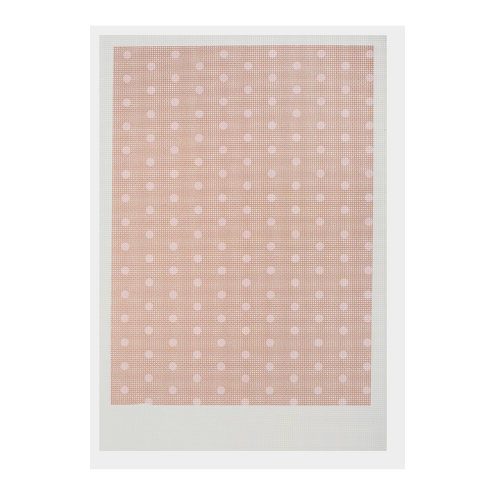 Канва для вышивания с рисунком, дизайнерская