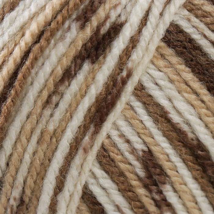 Пряжа "Crazy color" 25% шерсть, 75% акрил 260м/100гр (110)