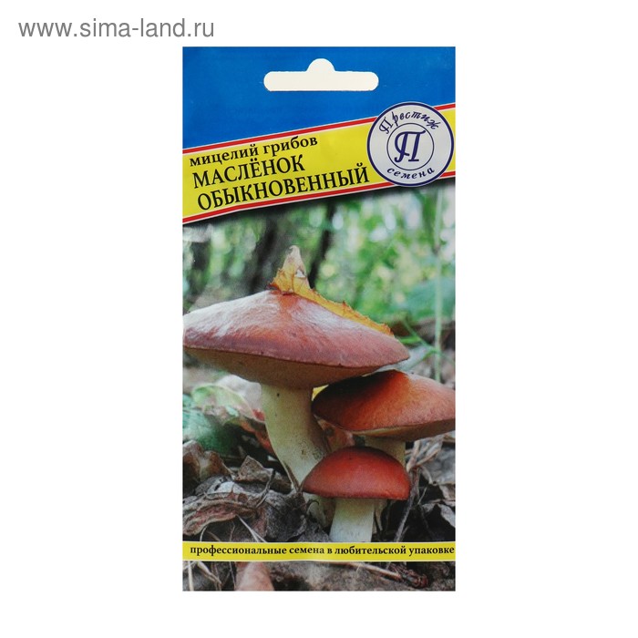 Мицелий грибов Маслёнок обыкновенный, 50 мл семена гриб маслёнок обыкновенный