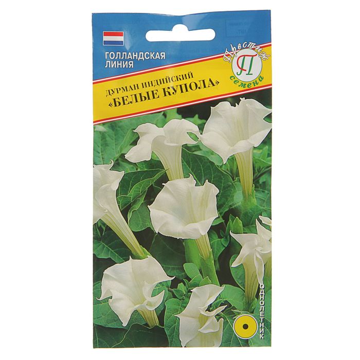 Семена Дурман индийский "Белые Купола", О, 5 шт