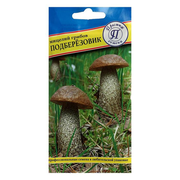 Мицелий гриб Подберёзовик, 50 мл гриб подберёзовик мицелий распространенный и хорошо знакомый многим гриб выращивается на лиственной почве