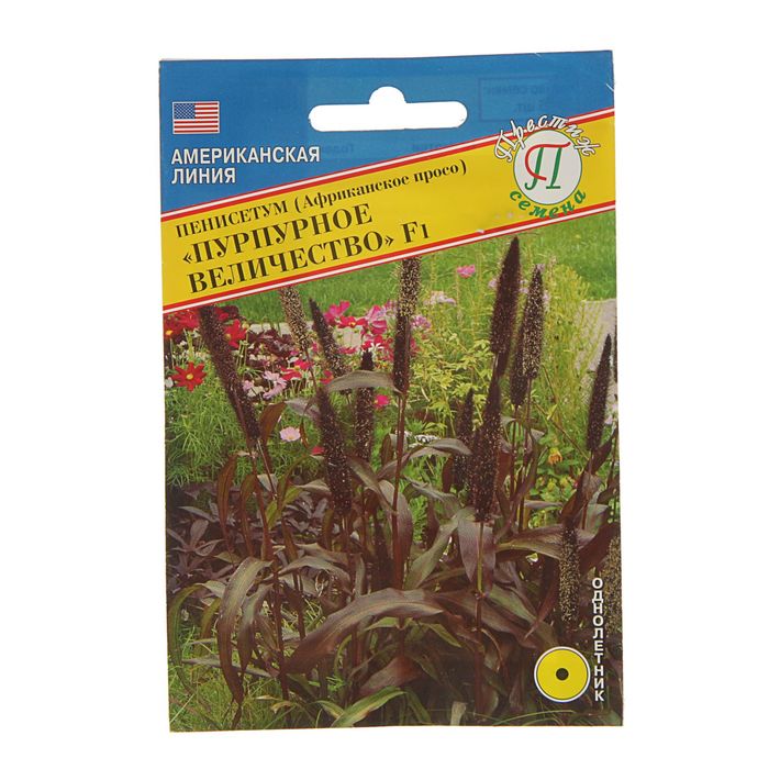 Семена Пенисетум "Пурпурное Величество" F1, О, 5 шт