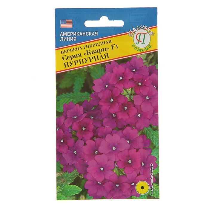 Семена Вербена "Кварц" Пурпурная F1, О, 10 шт