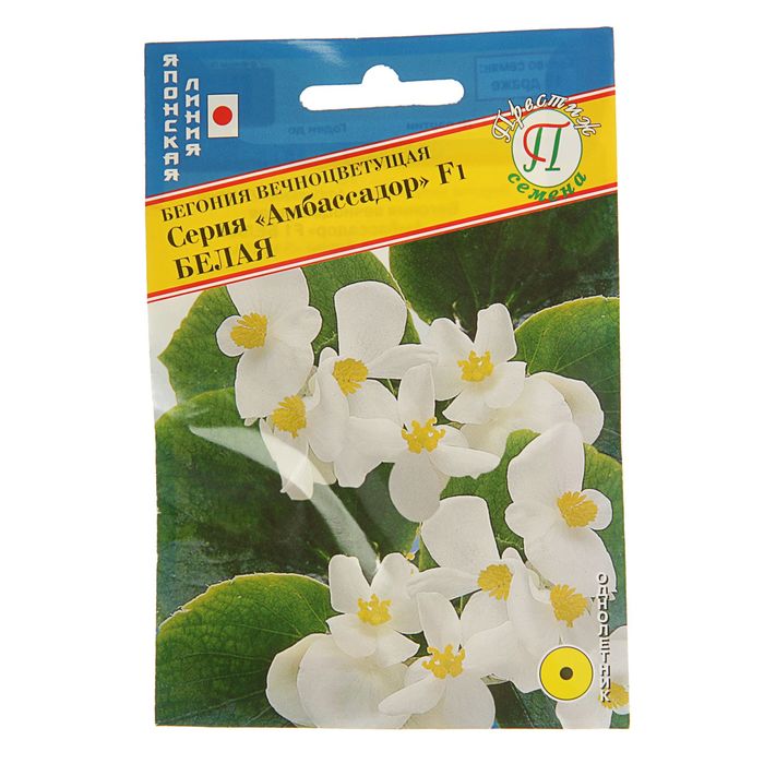 Семена Бегония вечноцветущей "Амбассадор" Белая F1, О, драже 15 шт