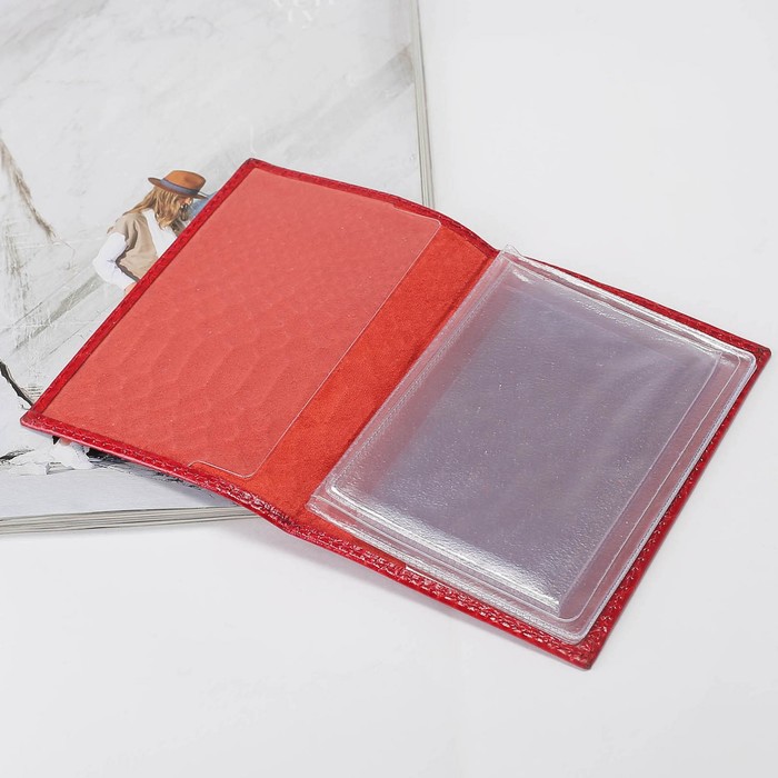 Обложка для автодокументов, питон, цвет красный