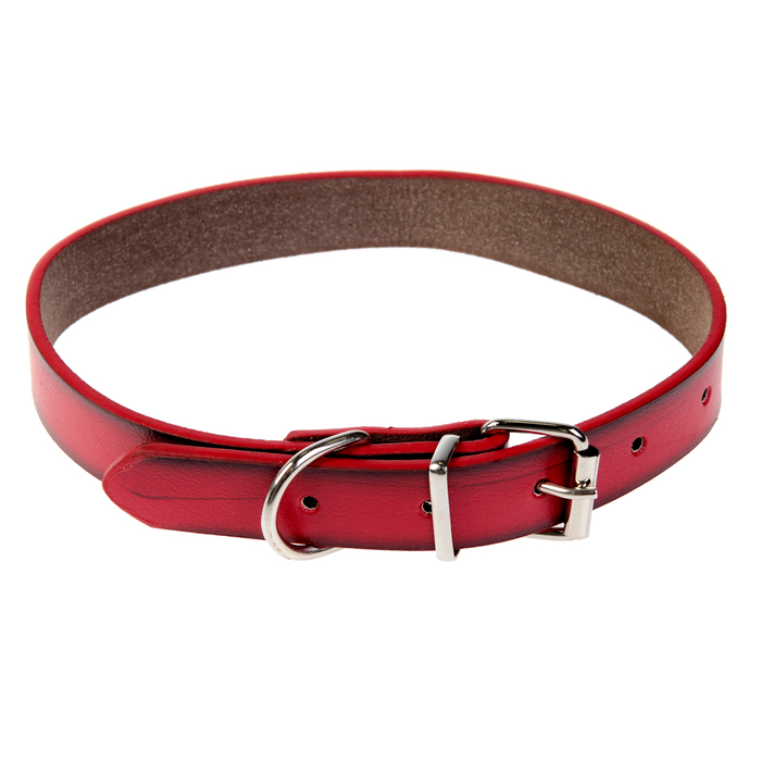Ошейник из высококачественной искусственной кожи с подкладом "под кожу", 44х2 см, красный