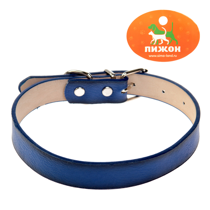 Ошейник из высококачественной искусственной кожи с подкладом "под кожу", 44 х 2 см, синий