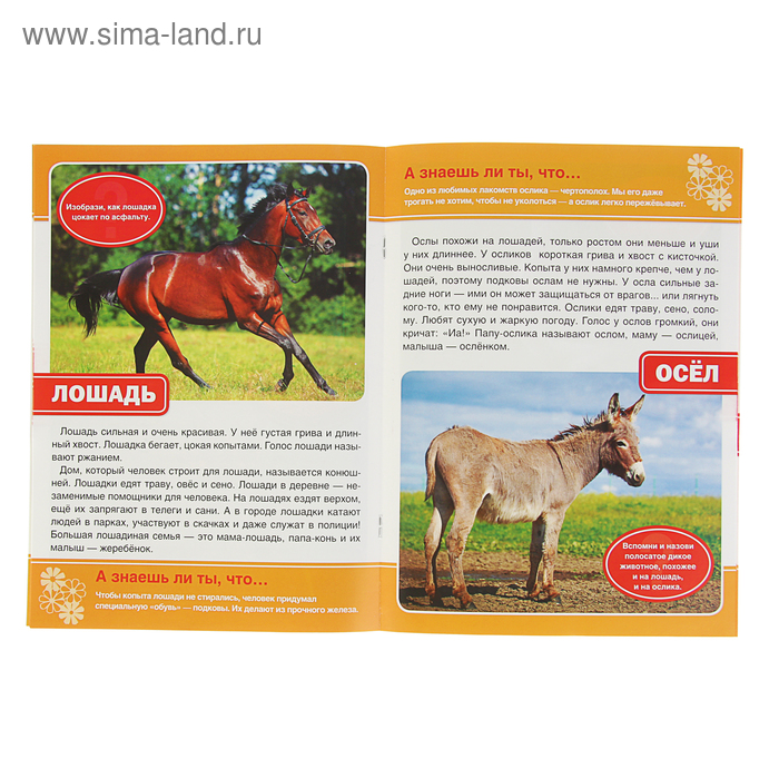 

Энциклопедия с развивающими заданиями «Домашние животные»