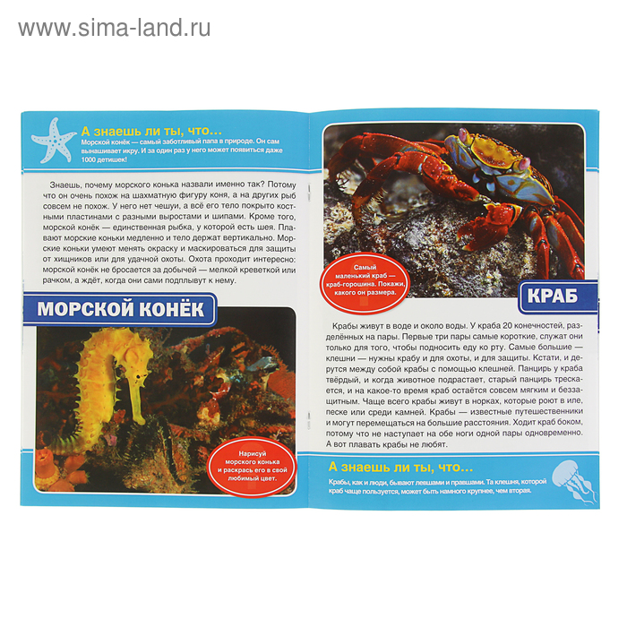 

Энциклопедия с развивающими заданиями «Морские обитатели»