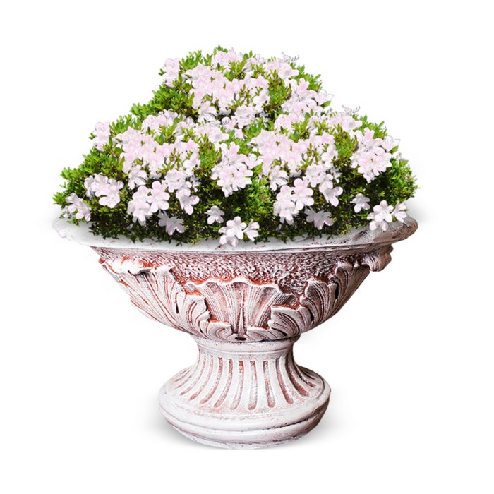 Вазон овальный розовый