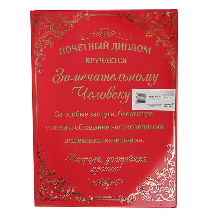 Диплом в рамке "С Днем рождения"