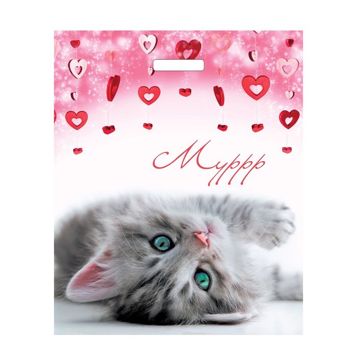 Пакет "Мурзик", полиэтиленовый с вырубной ручкой 36х45 см, 45 мкм