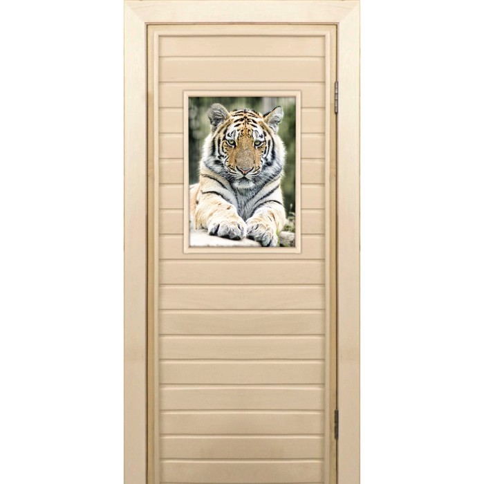 Дверь для бани и сауны "Тигр", 170х70см