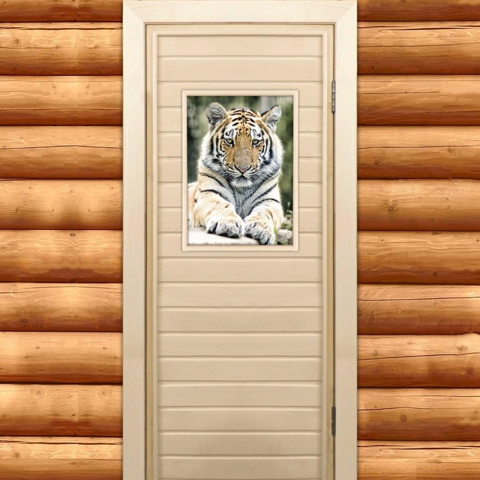 Дверь для бани и сауны "Тигр", 190х70см