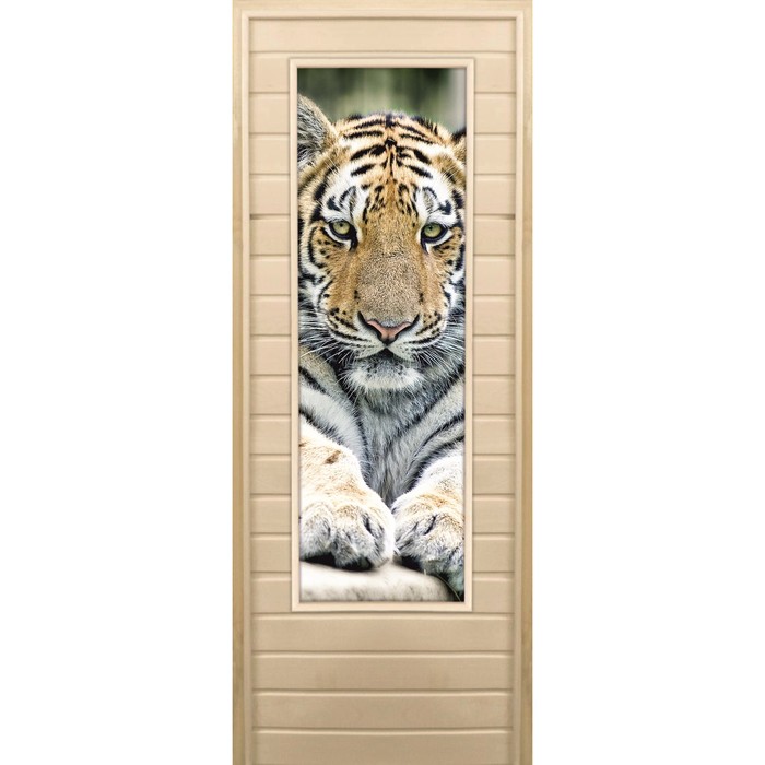 Дверь для бани и сауны "Тигр. Элит", 180х70см