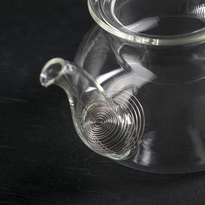 Чайник заварочный 550 мл "Гидра"