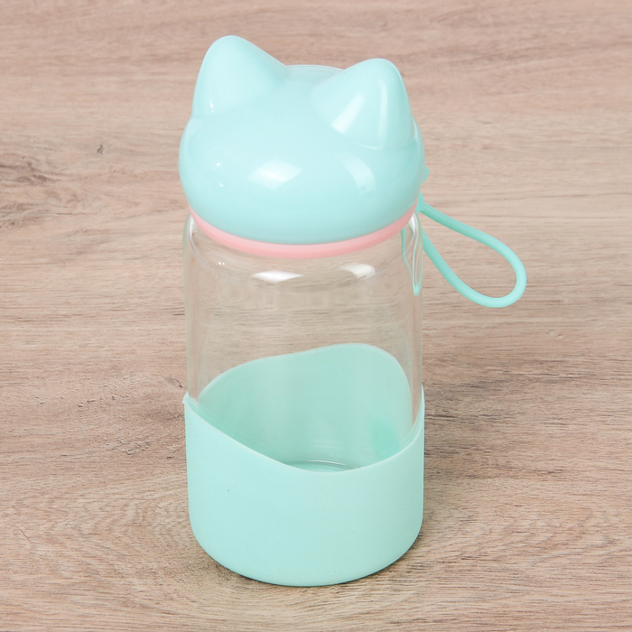 Бутылка 300 мл "Котейка", термостекло, цвета МИКС