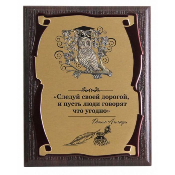 Панно с совой «Следуй своей дорогой...», сублимация