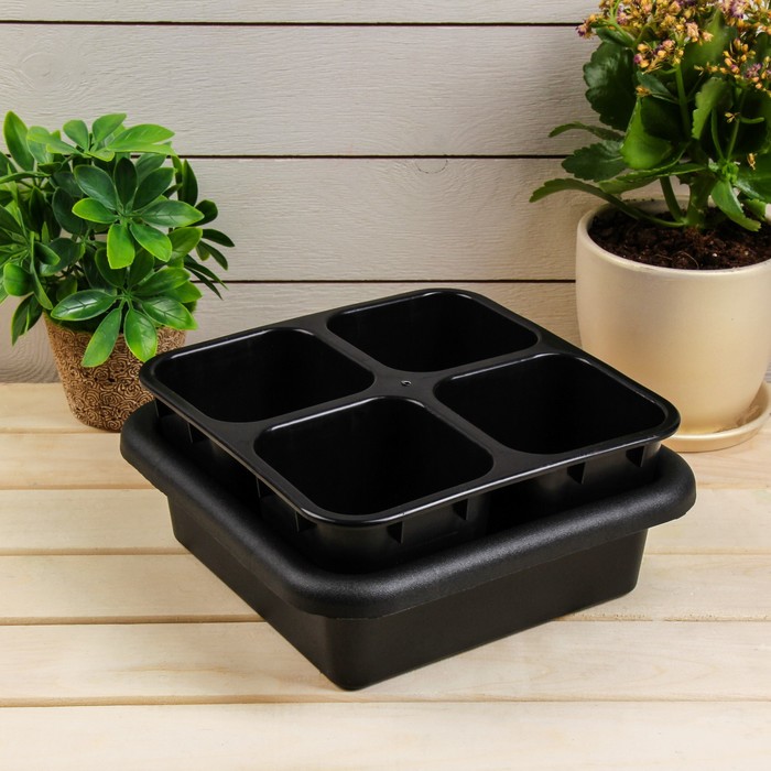 Кассета для рассады, 21 х 21 х 10 см, 4 ячейки по 600 мл, с поддоном