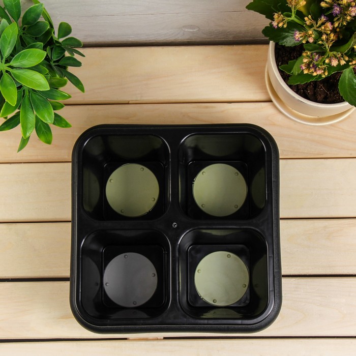 Кассета для рассады, 21 х 21 х 10 см, 4 ячейки по 600 мл, с поддоном