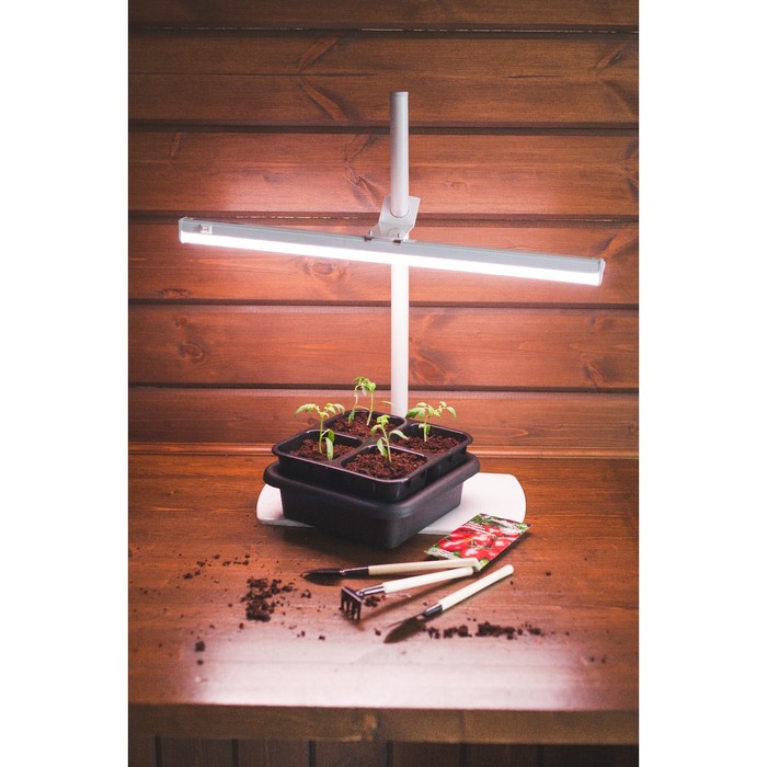 Кассета для рассады, 21 х 21 х 10 см, 4 ячейки по 600 мл, с поддоном