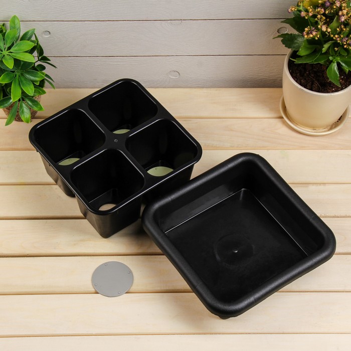 Кассета для рассады, 21 х 21 х 10 см, 4 ячейки по 600 мл, с поддоном