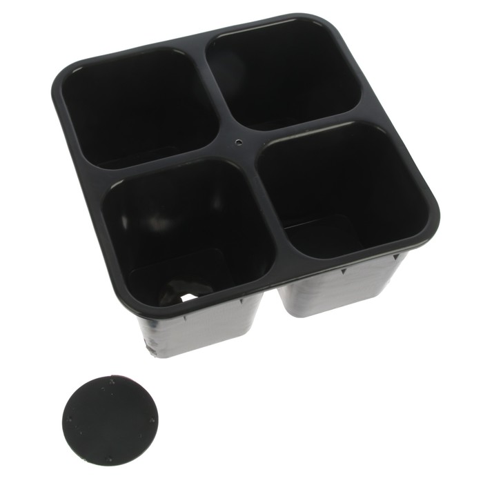 Кассета для рассады, 21 х 21 х 10 см, 4 ячейки по 600 мл, с поддоном