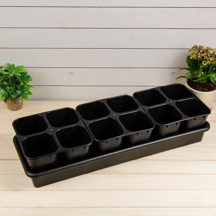 Кассета для рассады, 63 х 21 х 10 см, 12 ячеек по 600 мл, с поддоном
