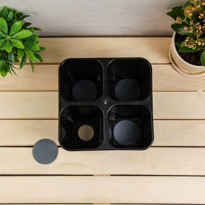 Кассета для рассады, 63 х 21 х 10 см, 12 ячеек по 600 мл, с поддоном