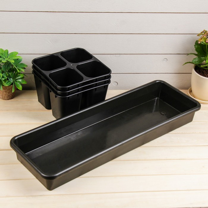 Кассета для рассады, 63 х 21 х 10 см, 12 ячеек по 600 мл, с поддоном