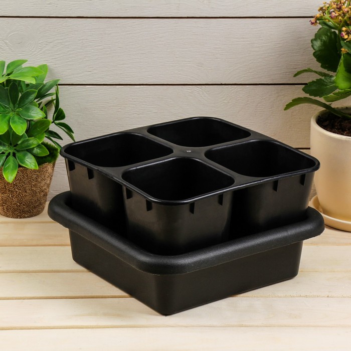 Кассета для рассады, 21 х 21 х 13 см, 4 ячейки по 800 мл, с поддоном
