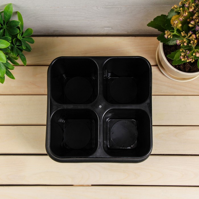 Кассета для рассады, 21 х 21 х 13 см, 4 ячейки по 800 мл, с поддоном