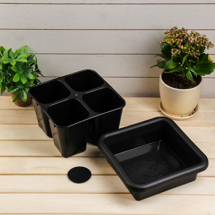 Кассета для рассады, 21 х 21 х 13 см, 4 ячейки по 800 мл, с поддоном