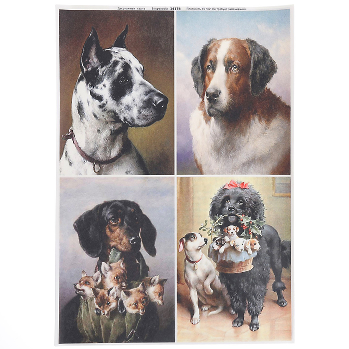 Декупажная карта "Собаки. Портреты" плотность  45г/м2  формат А4 (14174)