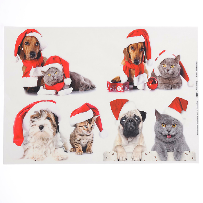 Декупажная карта "В колпачках" плотность  45г/м2  формат А4