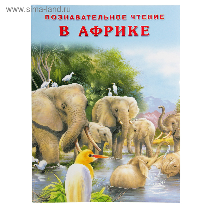 

«В Африке», Гурина И. В.