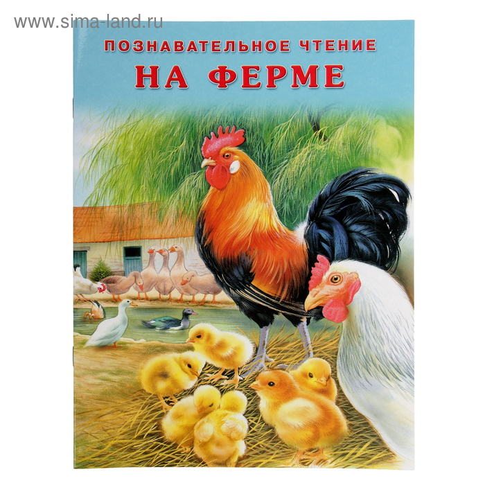 

«На ферме», Гурина И. В.