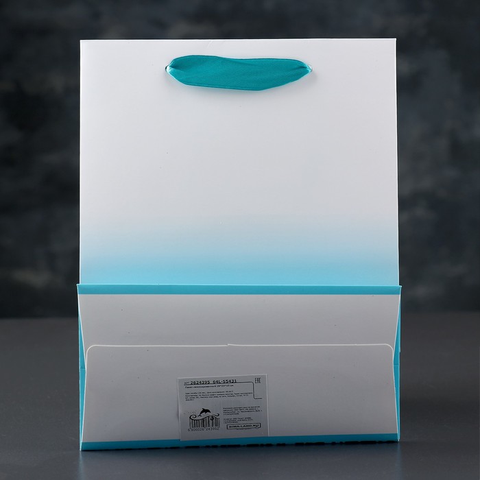 Пакет подарочный, люкс, 18 х 10 х 23 см