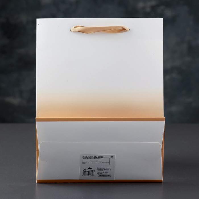 Пакет подарочный, люкс, 18 х 10 х 23 см